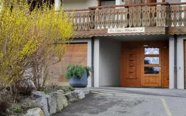 Les Cimes Blanches A et B - INH 25065