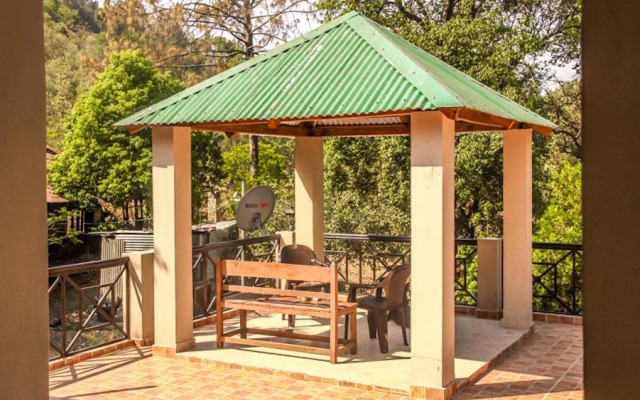The Camphor Tree - Pura Stays