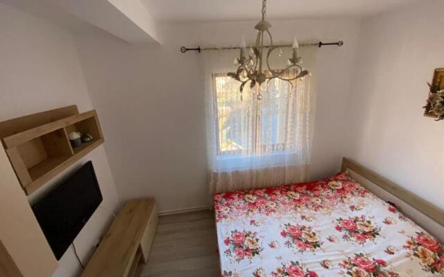 B House Bușteni