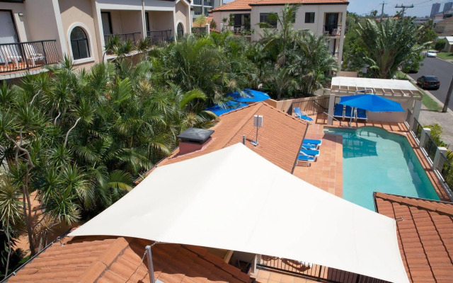 Chevron Palms