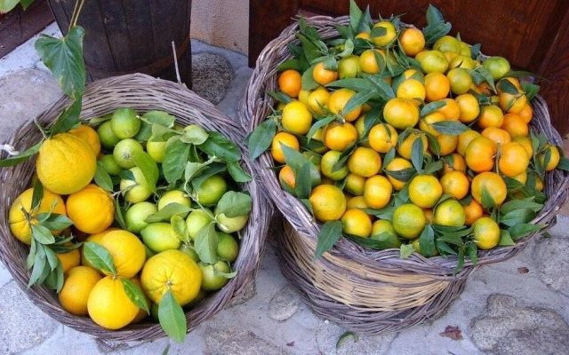 Agriturismo A Lanterna