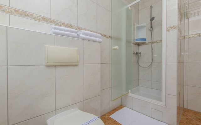 Apartment and Rooms Ana