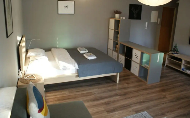 Friendly Apartments - Krakow