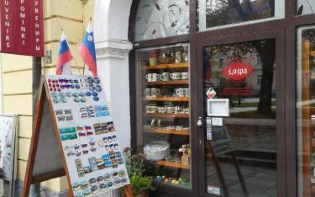 Apartment Slavica