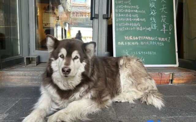Kangsang Youth Hostel (Potala Palace Jokhang Temple)