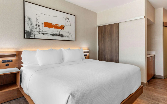 Cambria Hotel Richardson - Dallas