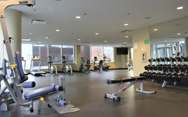 Suite Digs Alura