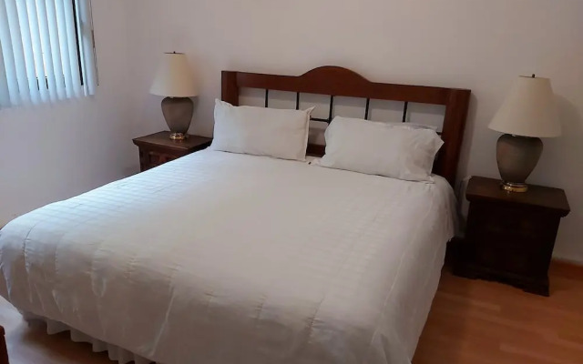 Steinhaus Homero