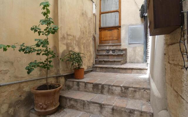 SCAPPO IN UMBRIA, nido cruxburgi