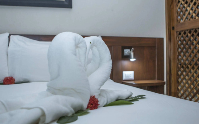 Hotel Palma de Oro