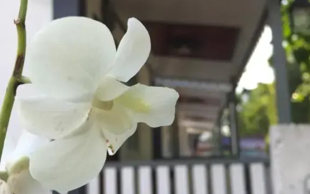 Muang pho Resort