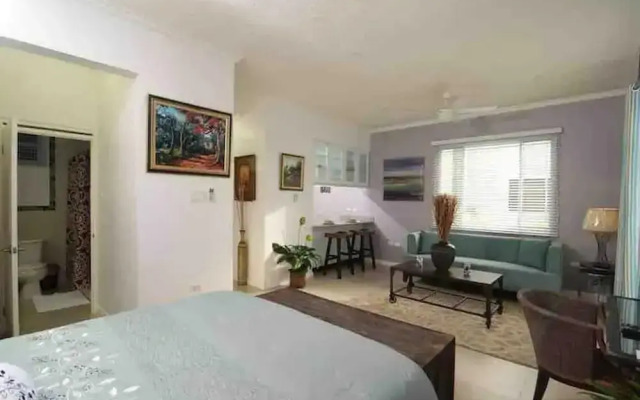 Smart Haven Studios in Kingston