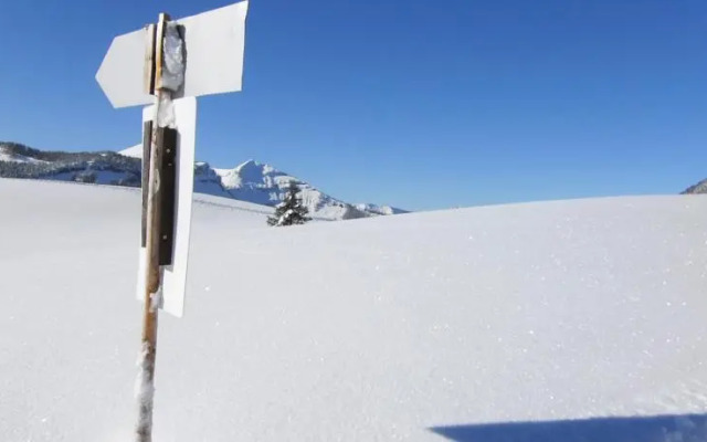 Appartementhaus Elisabeth Schöndorfer