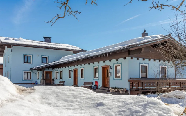 Spacious Apartment in Mittersill near Ski Points