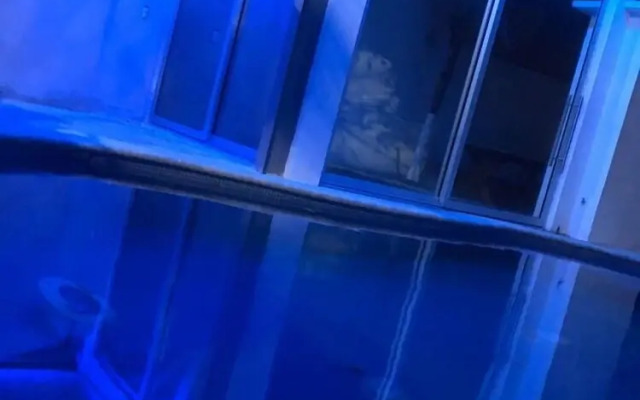 Cancún Plaza Hotel & Hostal