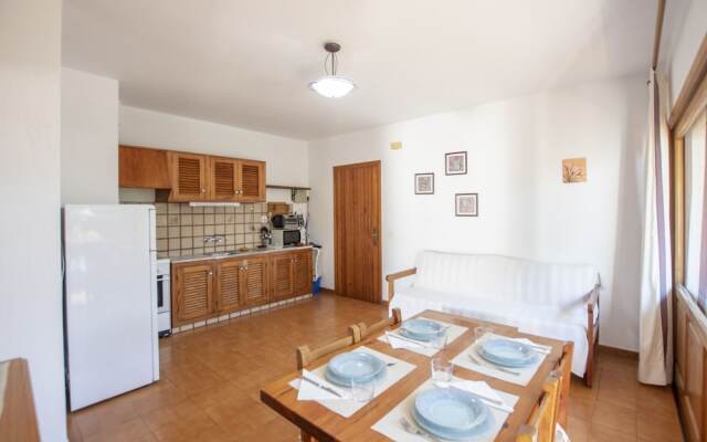 Bosc y Sol - Formentera Libre