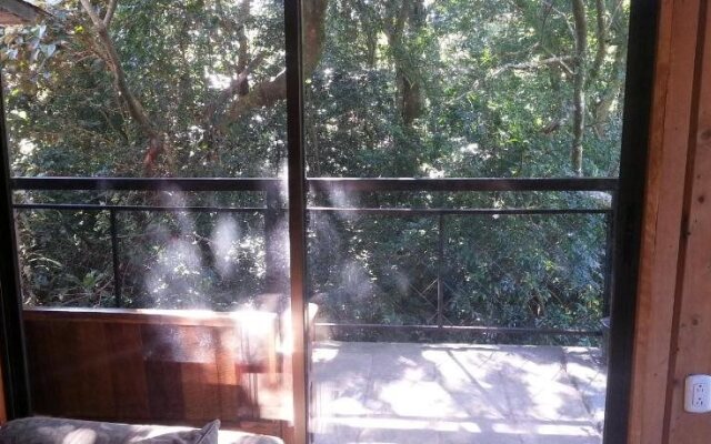 Manakin Lodge Monteverde