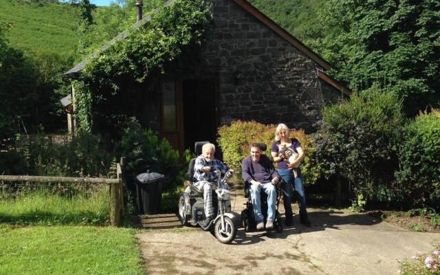 Relaxing Holidays in the Old Water Mill at Cwmiar