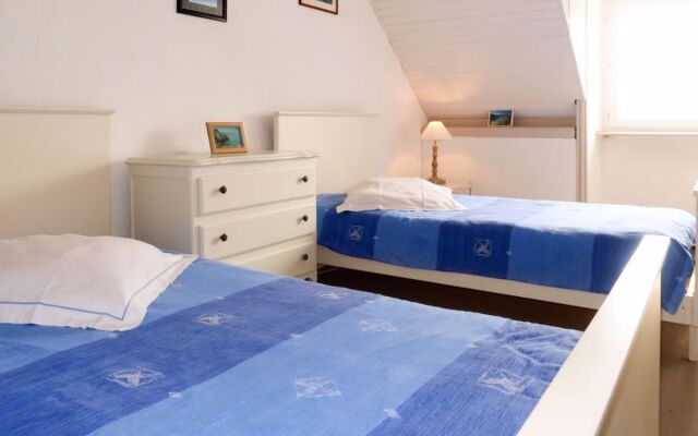 Les Hortensias (PGF100)