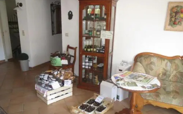 Landgasthof Frohe Aussicht