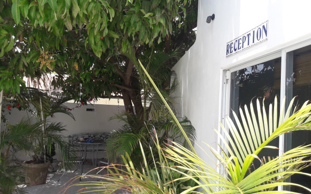 Palmita Hotel Hostel