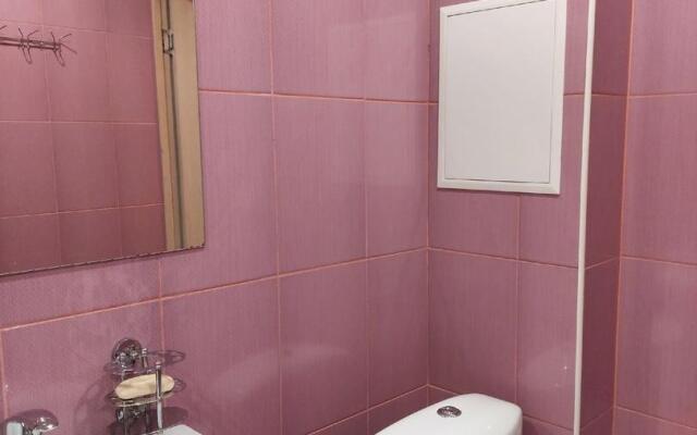 Апартаменты на улице Пушкина 53