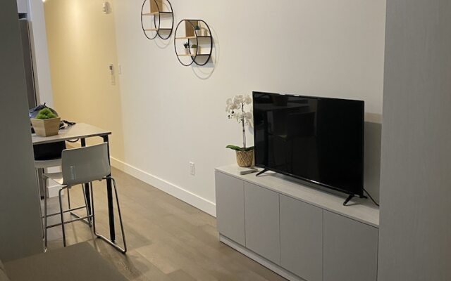 Cozy Studio's Downtown Montreal