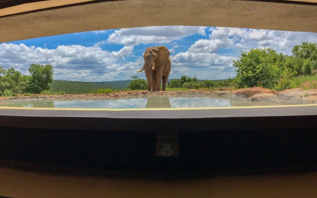 Laluka Safari Lodge