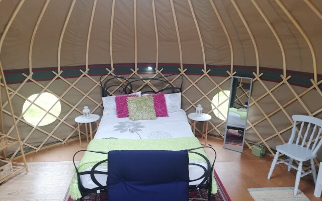 Looe Yurts