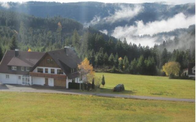 Schwarzwald Kniebis