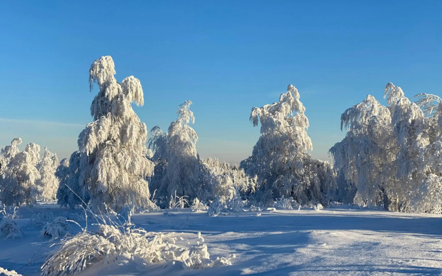Schwarzwald Wohnung Kniebis