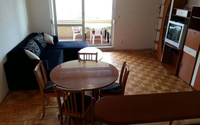 Apartment Svejk