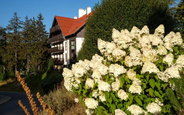 Panorama Gór ozonowany Apartament 10