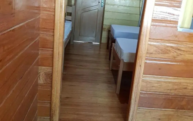 Amazon EcoTourism Arowana Lodge