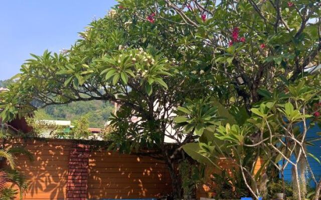 Baan Kasemsuk Guesthouse