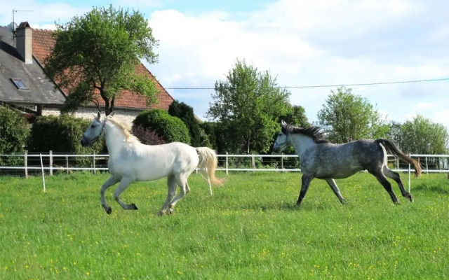 Maison du Cheval Blanc