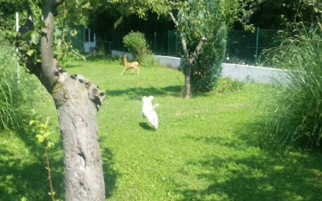 Two Bedroom Apartment