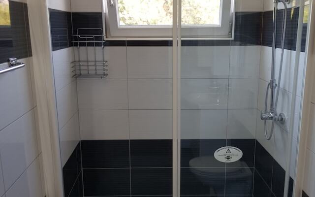 Baumgartner- Paradise Punta