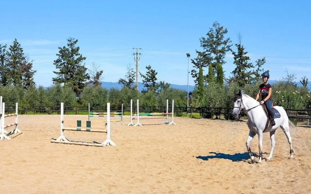 Apartment in Vinci With Pool and Wellness