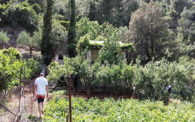 Holiday home Lidija-Robinson House
