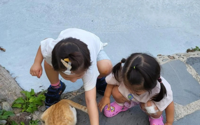 Seolly Resort Pension