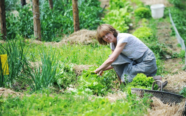 Turisticna Kmetija Seruga