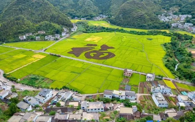 Xuan Yiju Homestay (Wanfenglin Scenic Area) – Outside – Qianxinan