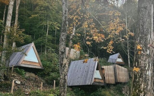 Eastwind Oliverea Valley