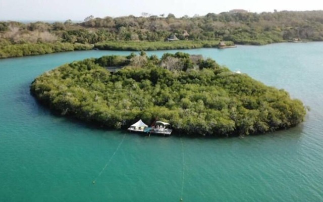 Isla Madre Selva
