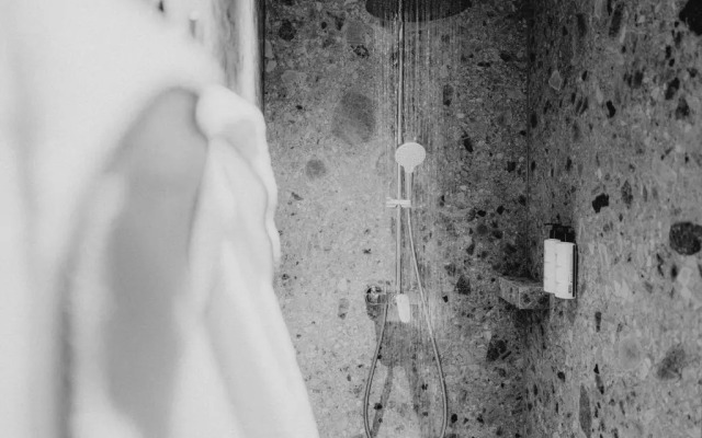 Gasthof und Hotel Traunsteiner Hof