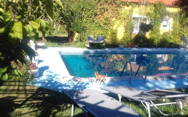 Studio in Nazaré, With Pool Access, Furnished Garden and Wifi - 7 km F