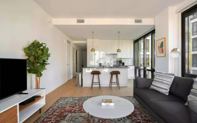 BLACK SWAN - Liz DC - Executive Flat