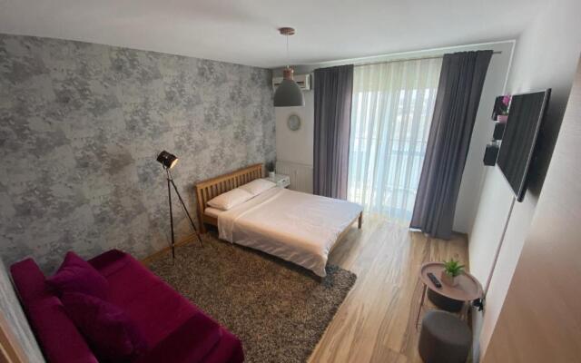 Oradea Gray Apartment