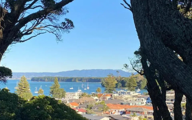 Peaceful Mount Studio Moments to Beach & Downtown